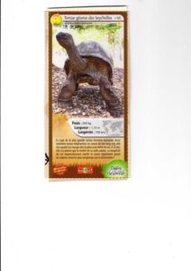 46 – Tortue géante des Seychelles