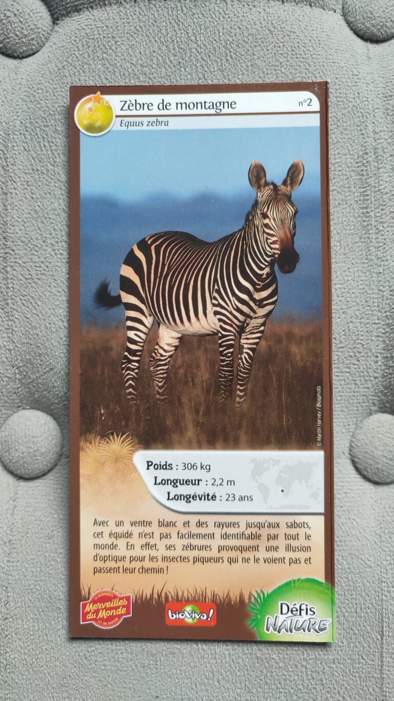 Face de la carte
