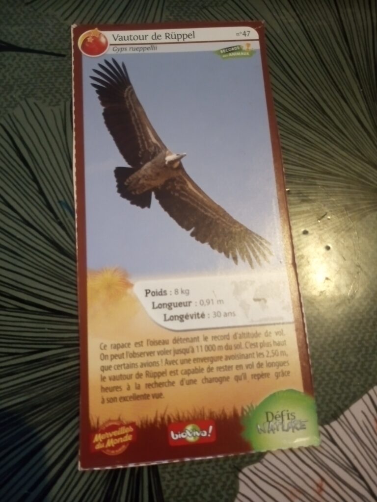 Face de la carte