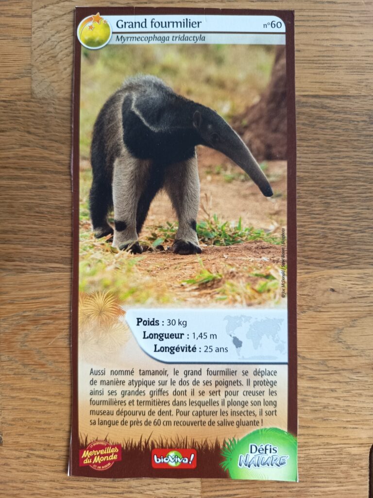 Face de la carte