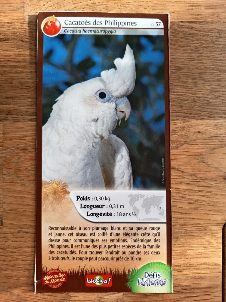 Face de la carte