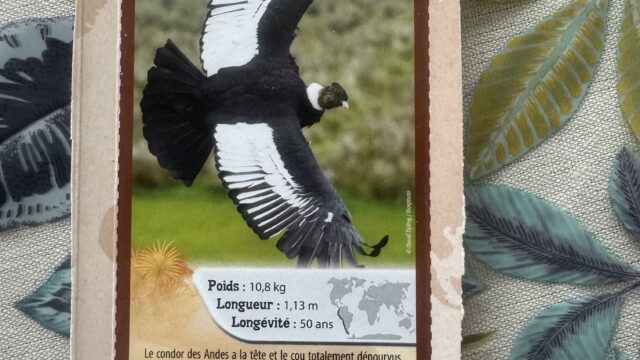 IMG_4757