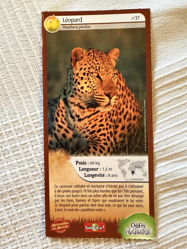 Face de la carte