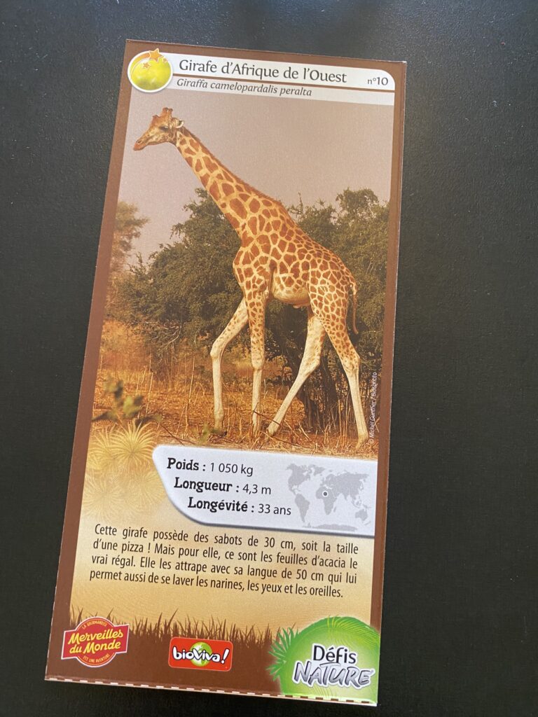 Face de la carte