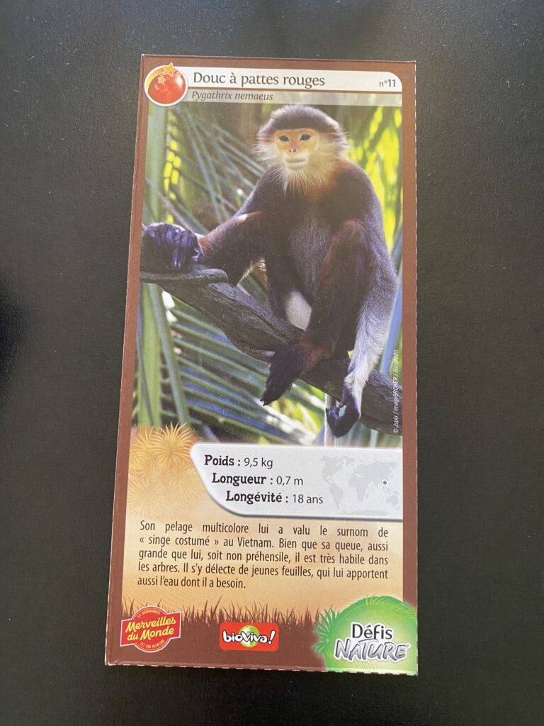Face de la carte