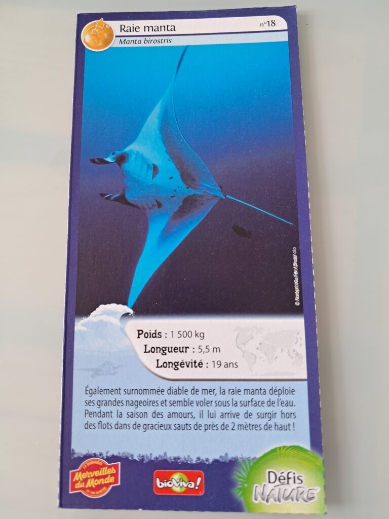 Face de la carte