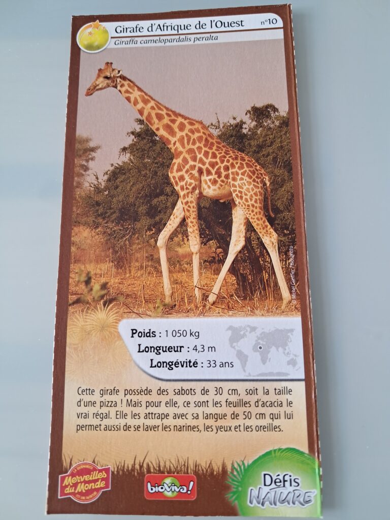 Face de la carte