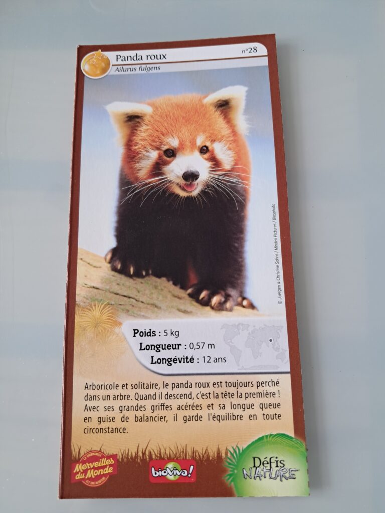 Face de la carte