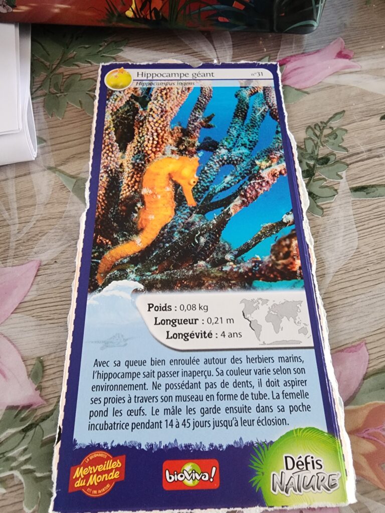 Face de la carte