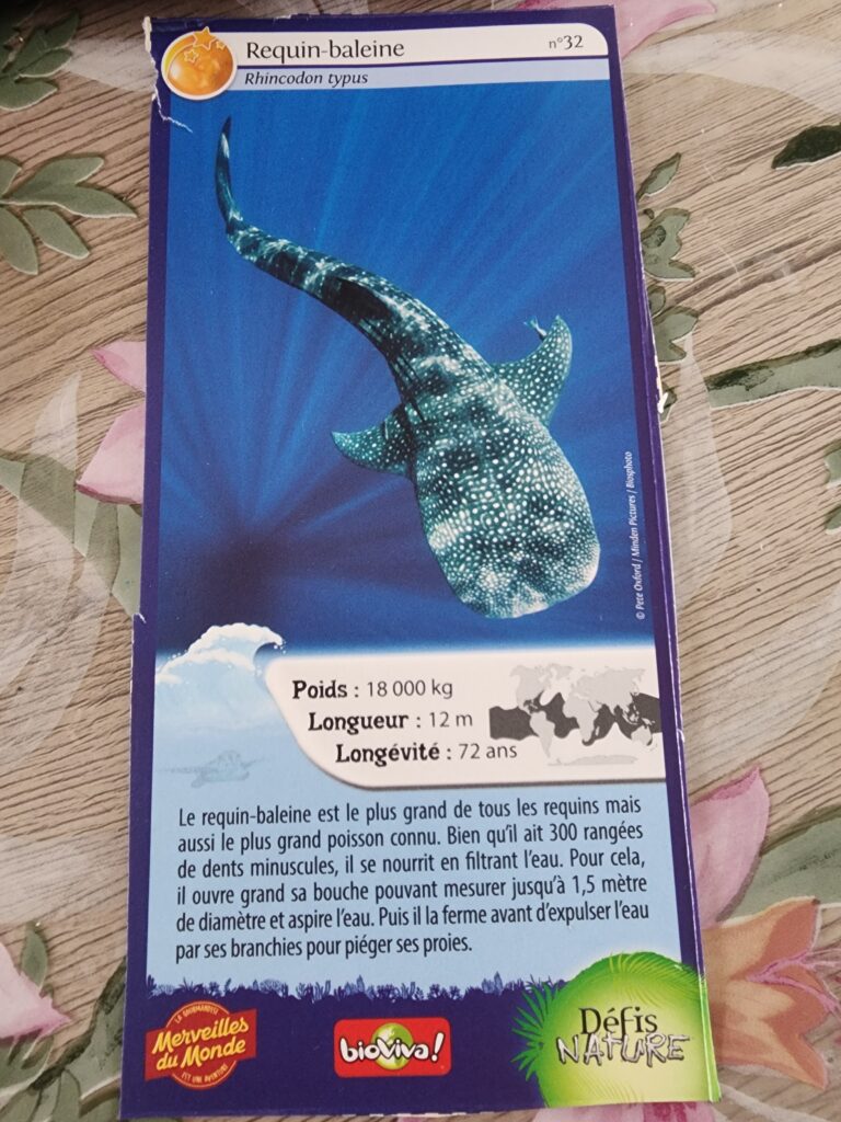 Face de la carte