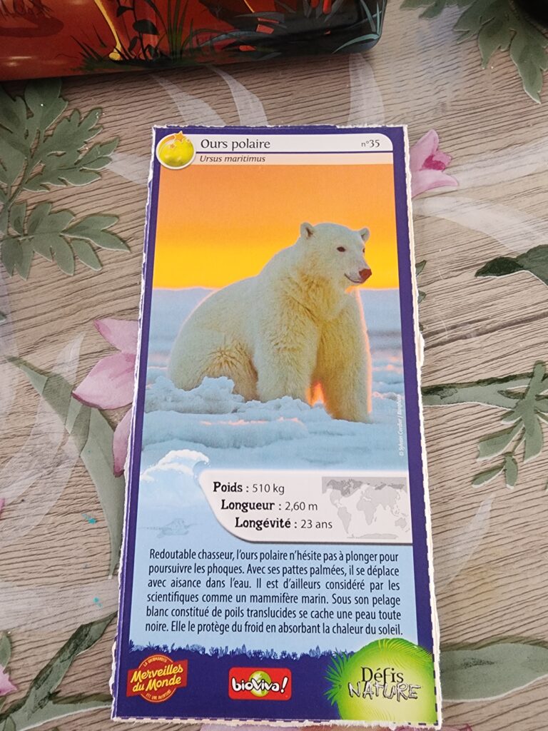 Face de la carte