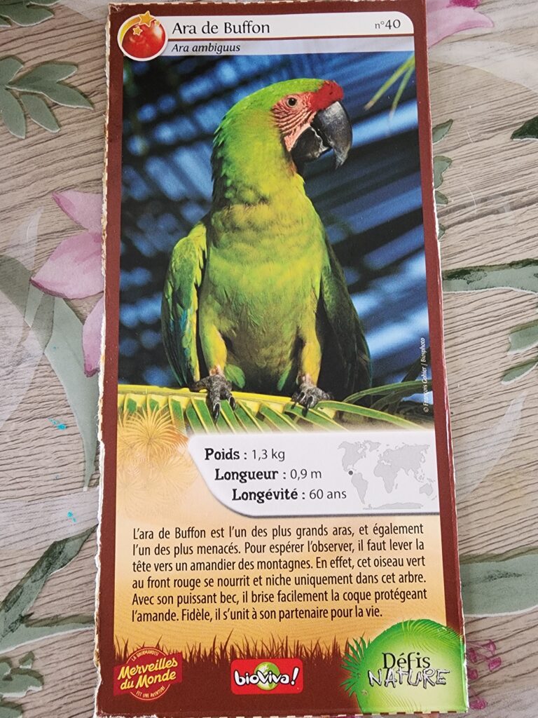 Face de la carte