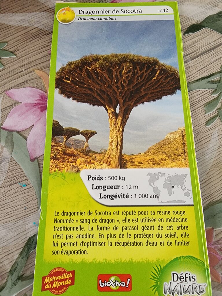 Face de la carte