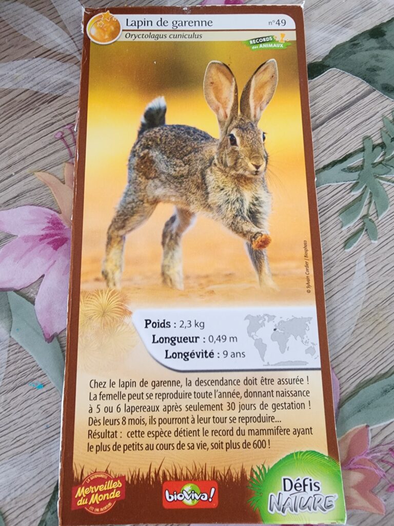 Face de la carte