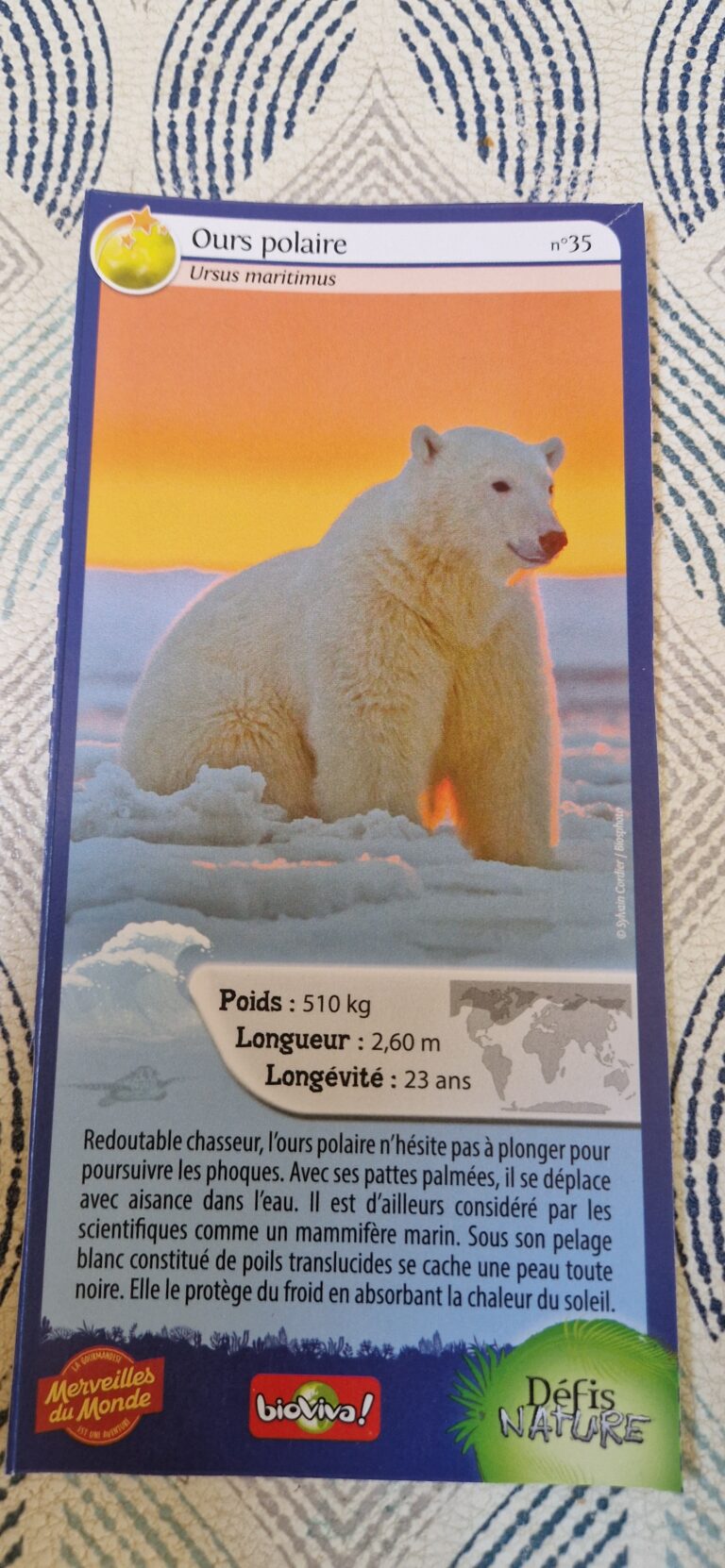 Face de la carte