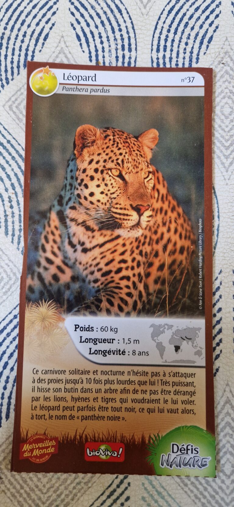 Face de la carte