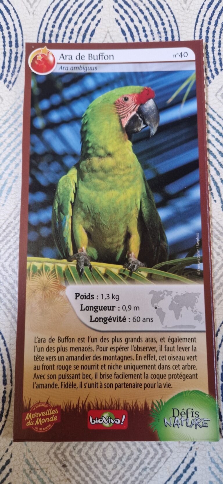 Face de la carte