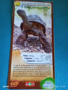 46 – Tortue géante des Seychelles