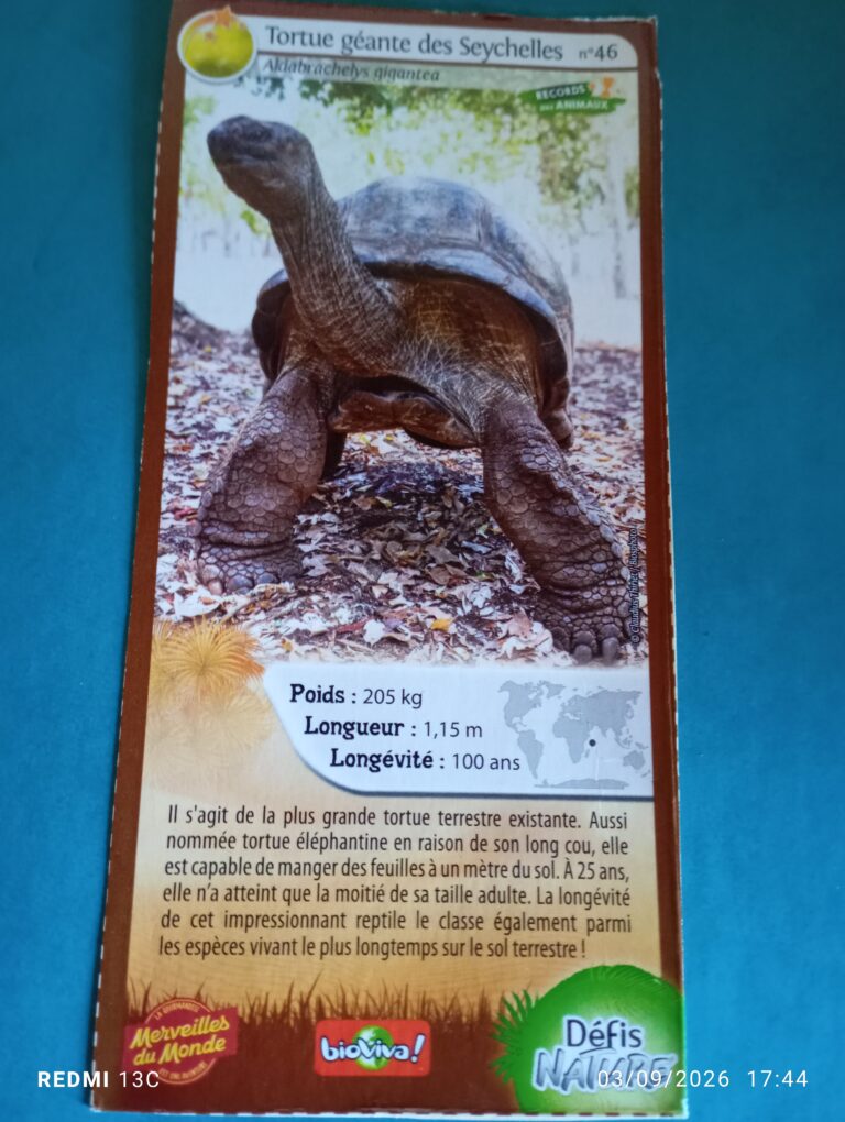 Face de la carte