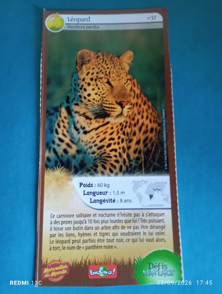 Face de la carte