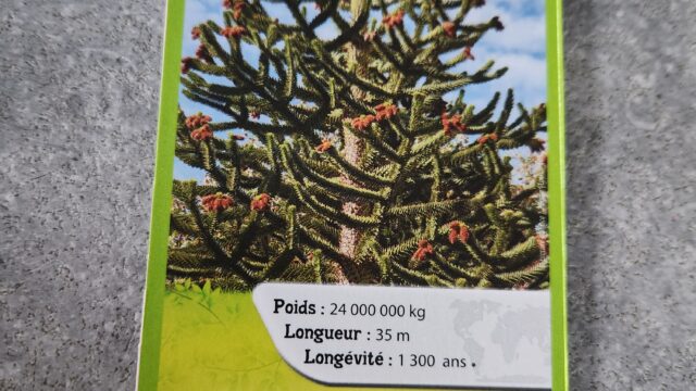 17884605766027043240330353758779