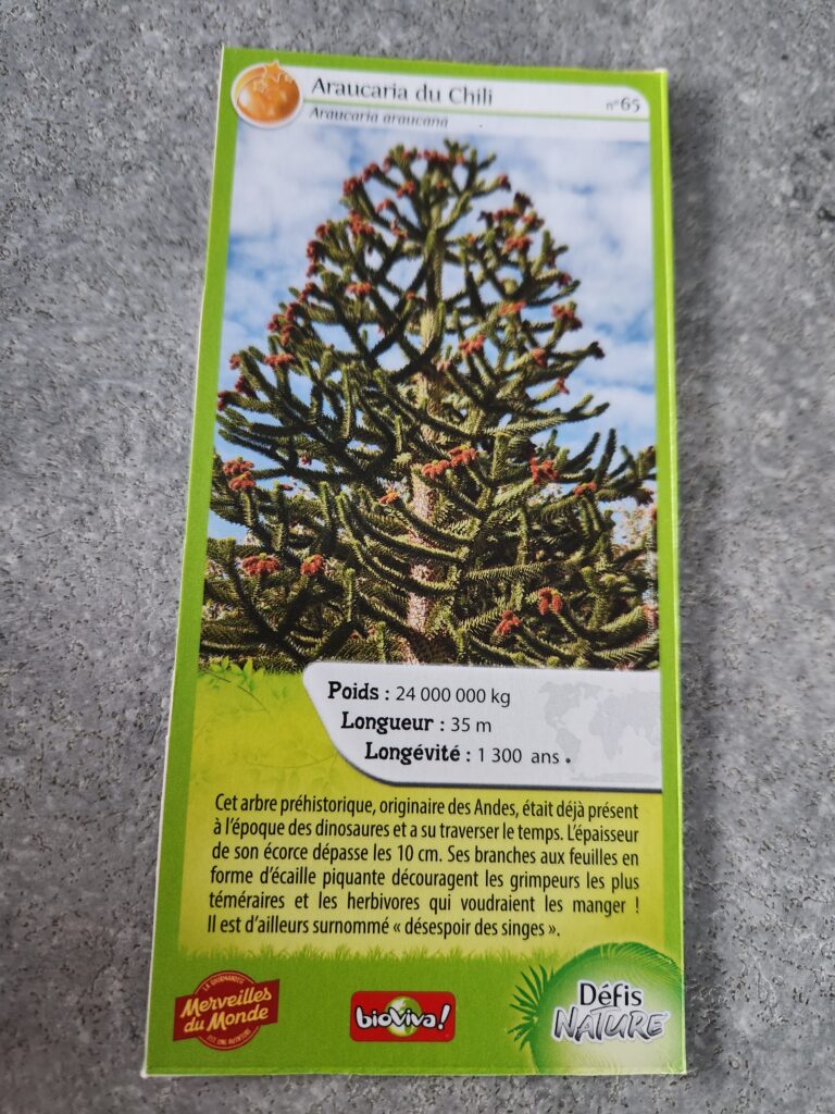 Face de la carte