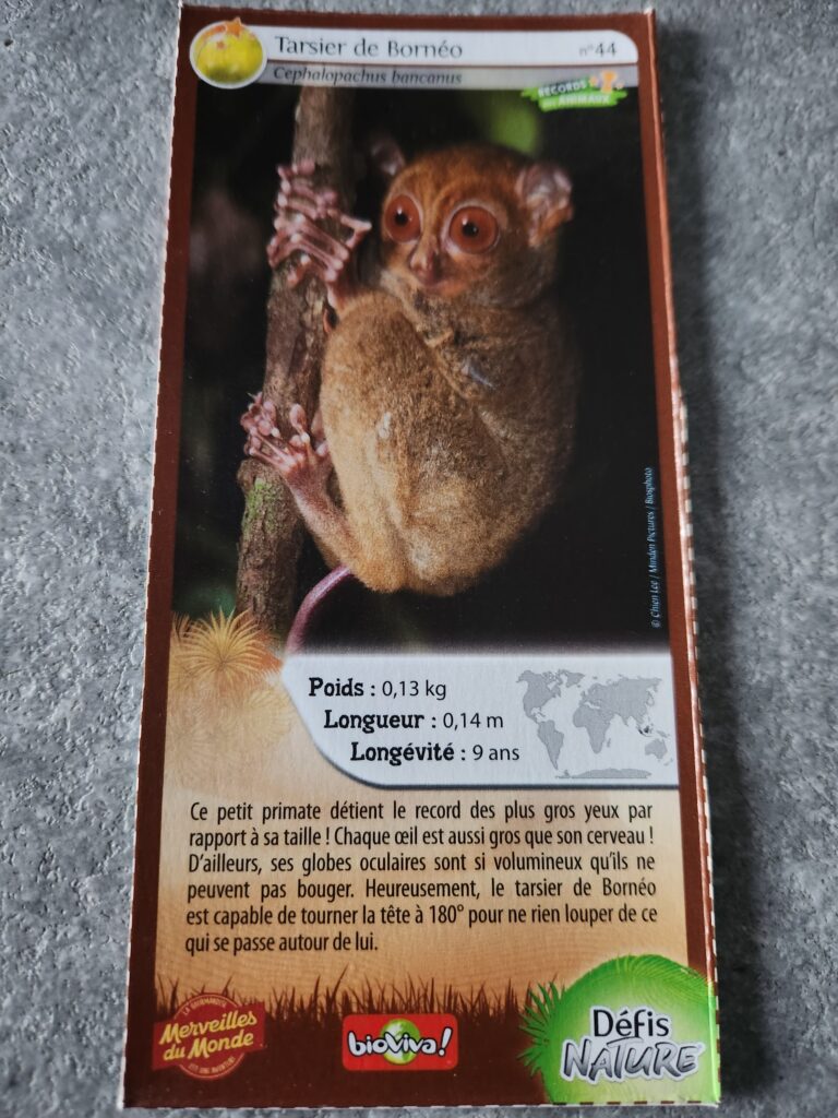 Face de la carte