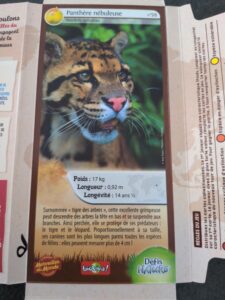 59 – Panthère nébuleuse