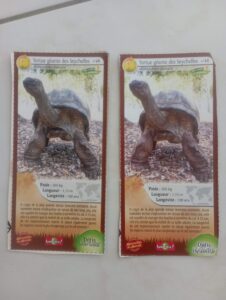 46 – Tortue géante des Seychelles
