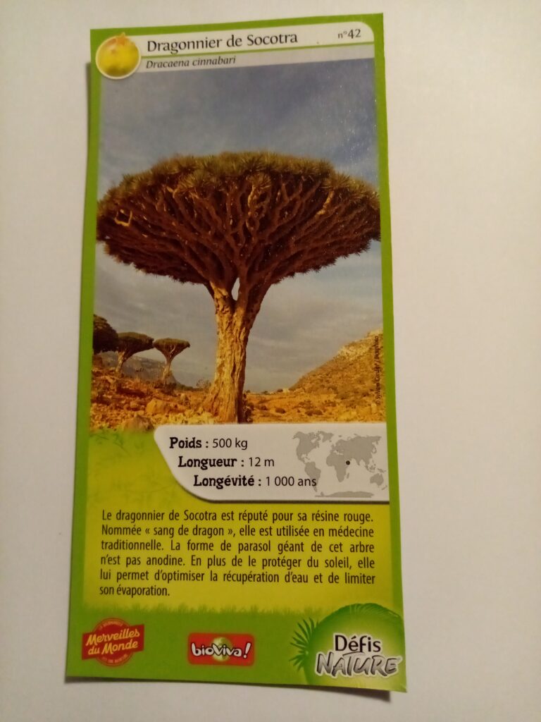 Face de la carte
