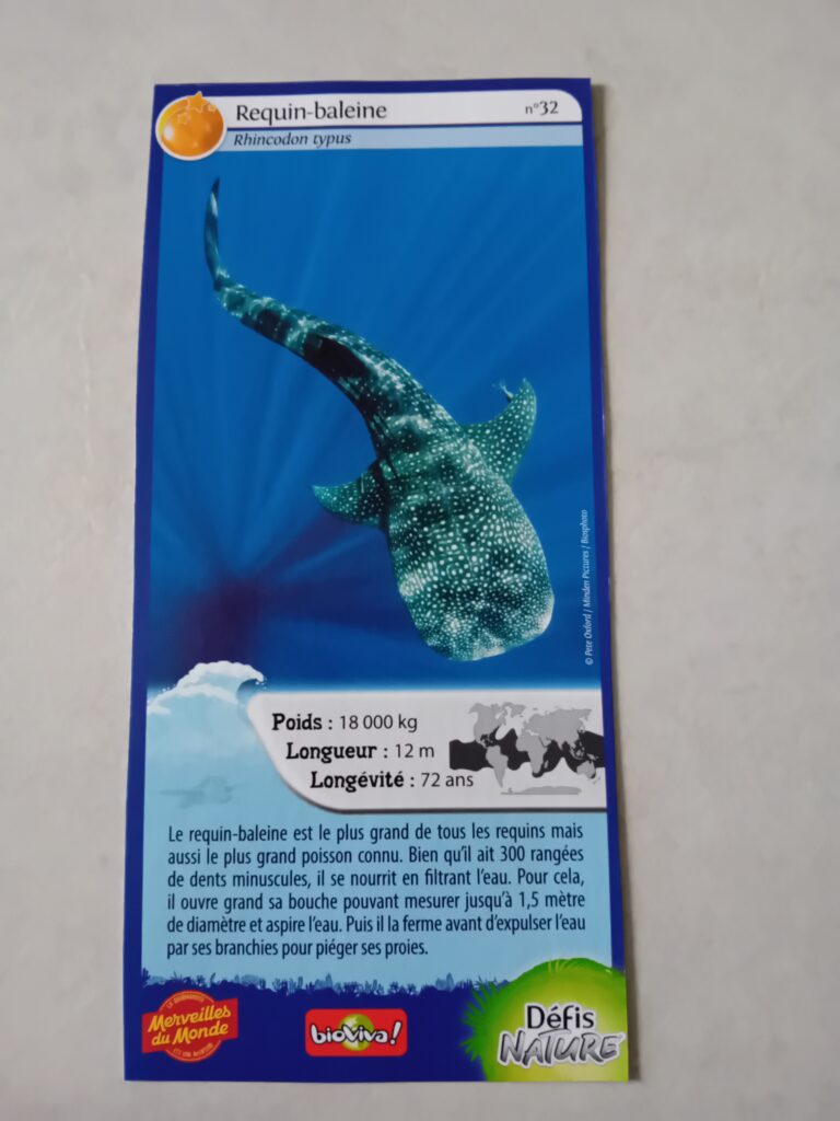 Face de la carte