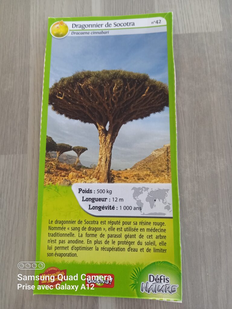 Face de la carte