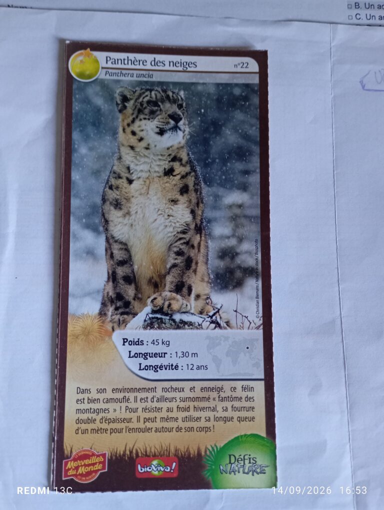 Face de la carte