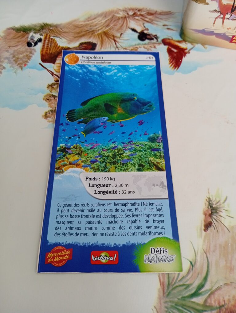Face de la carte