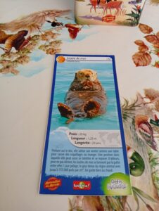 61 – Loutre de Mer