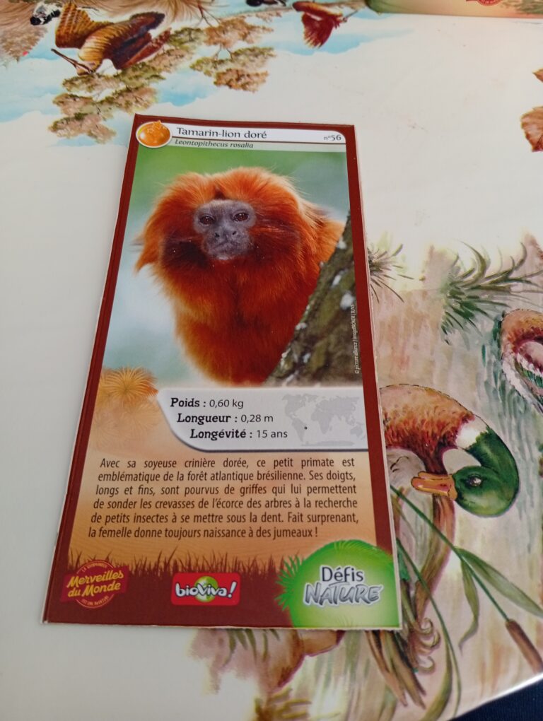 Face de la carte