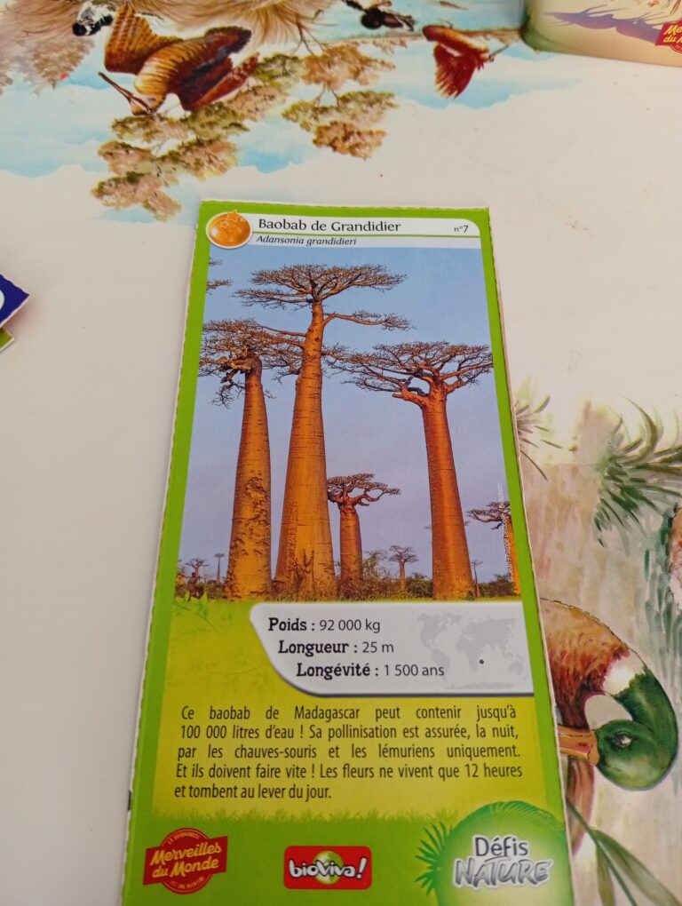 Face de la carte