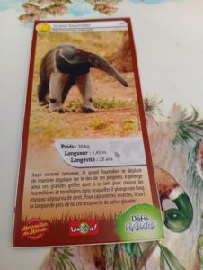 60 – Grand Fourmilier