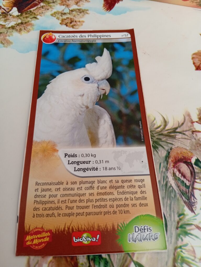 Face de la carte