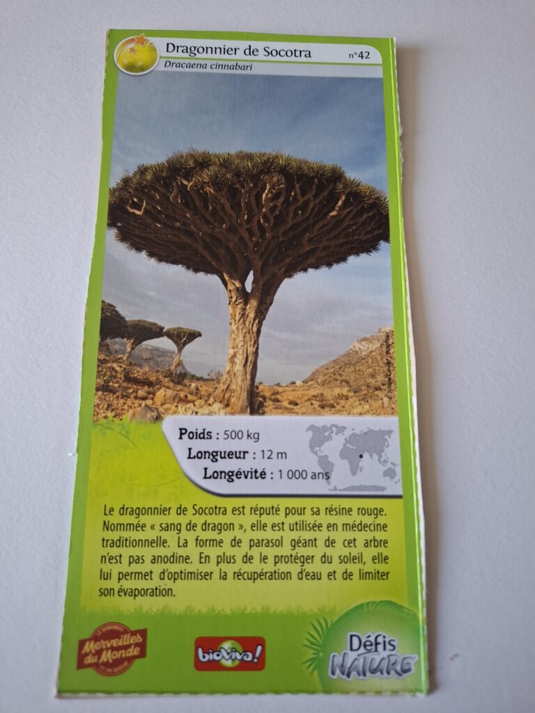 Face de la carte