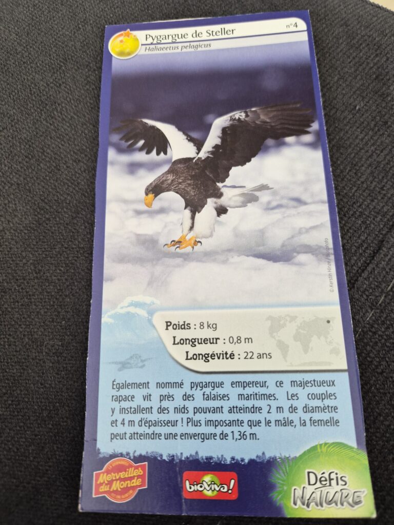 Face de la carte