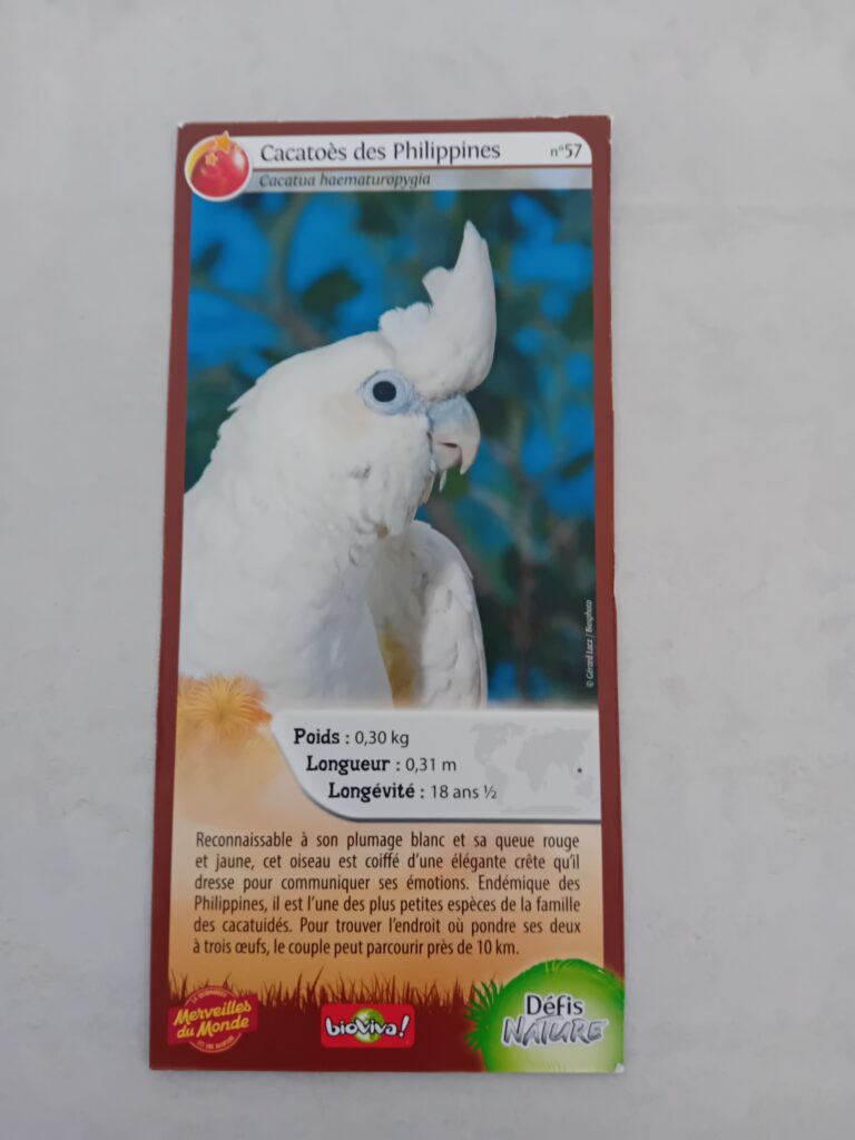 Face de la carte