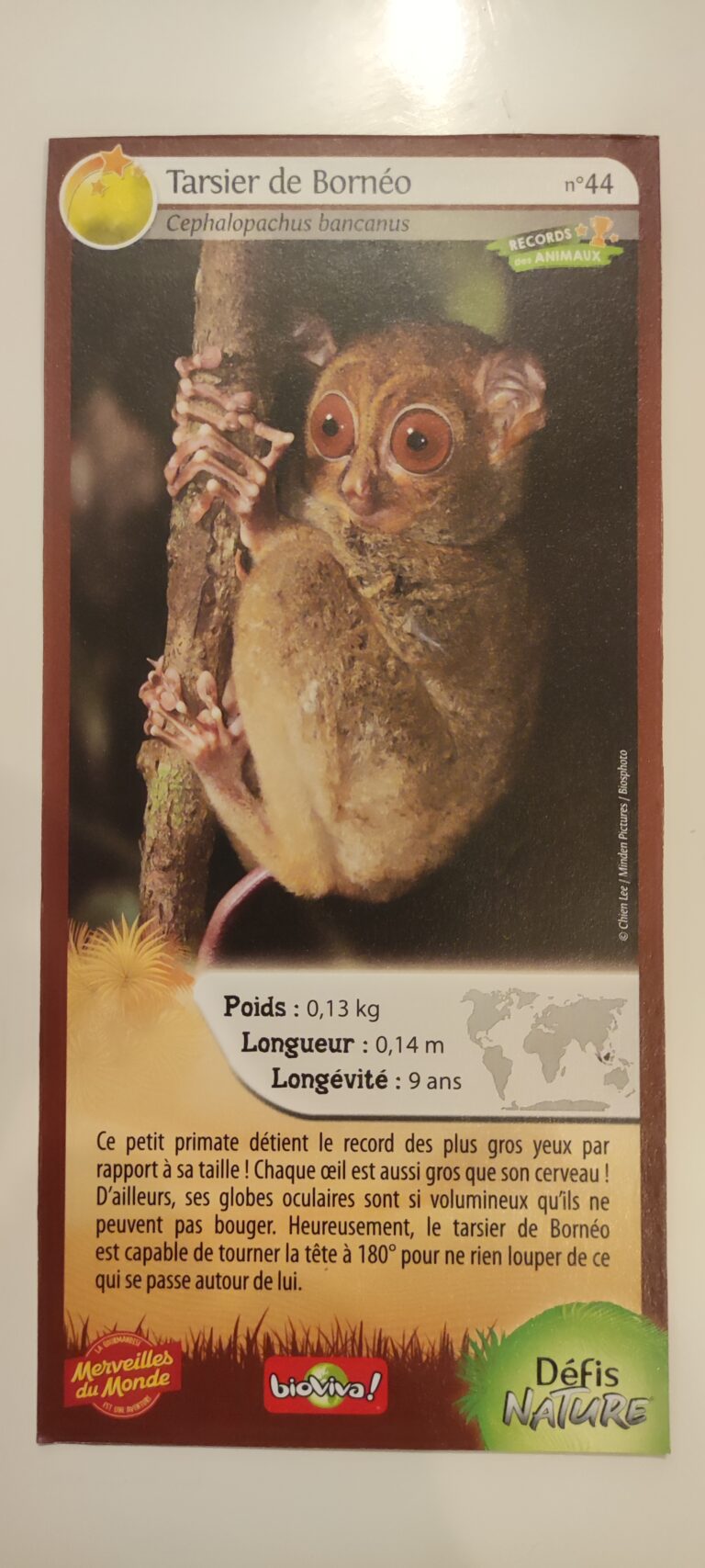 Face de la carte