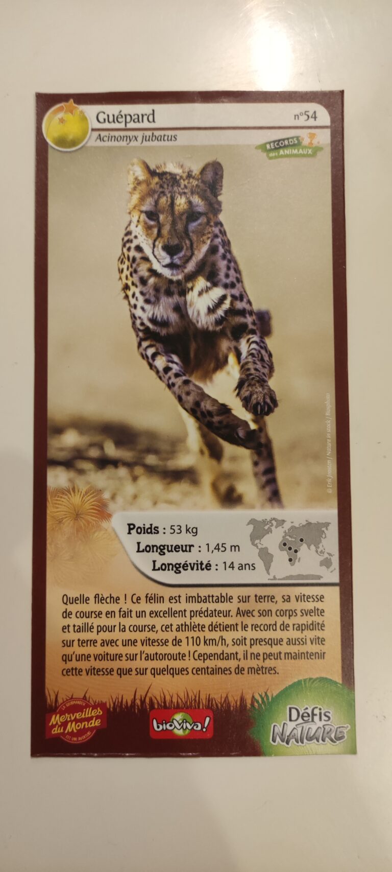 Face de la carte