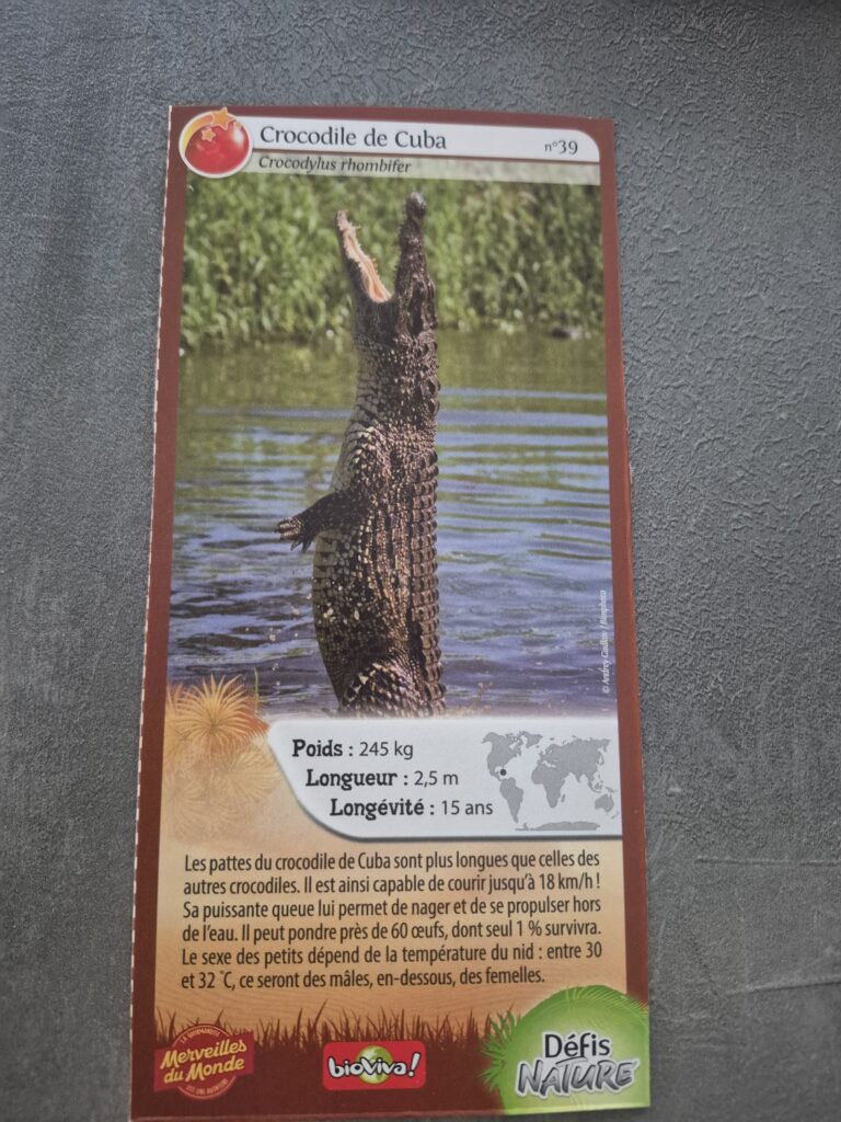 Face de la carte