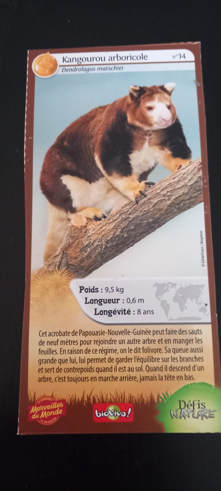Face de la carte