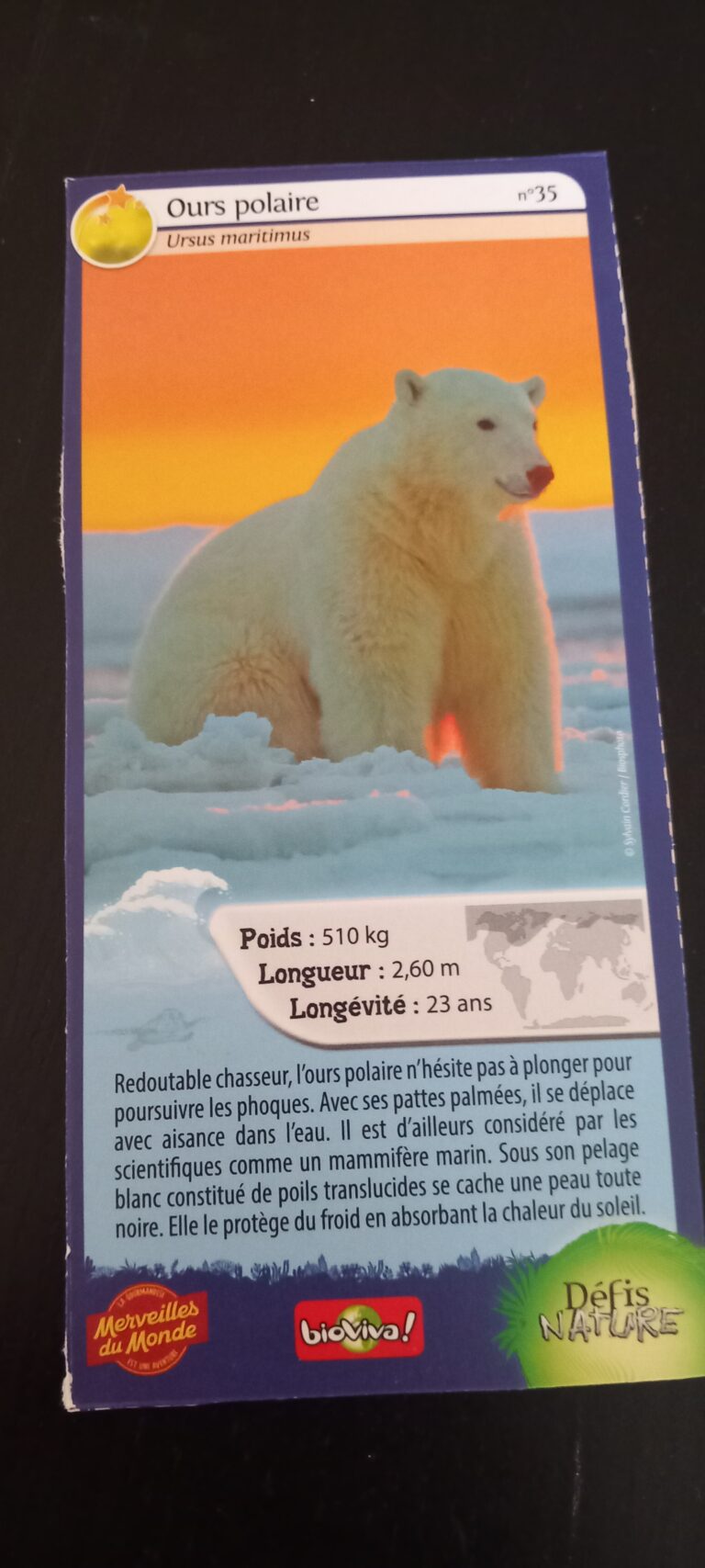 Face de la carte