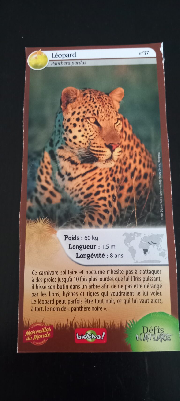 Face de la carte