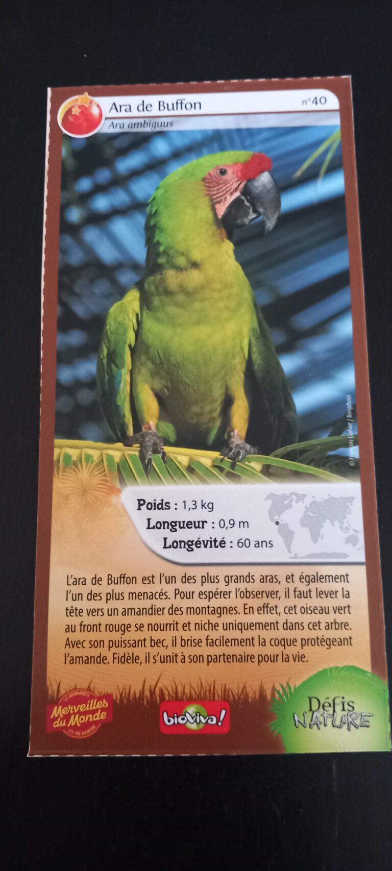 Face de la carte