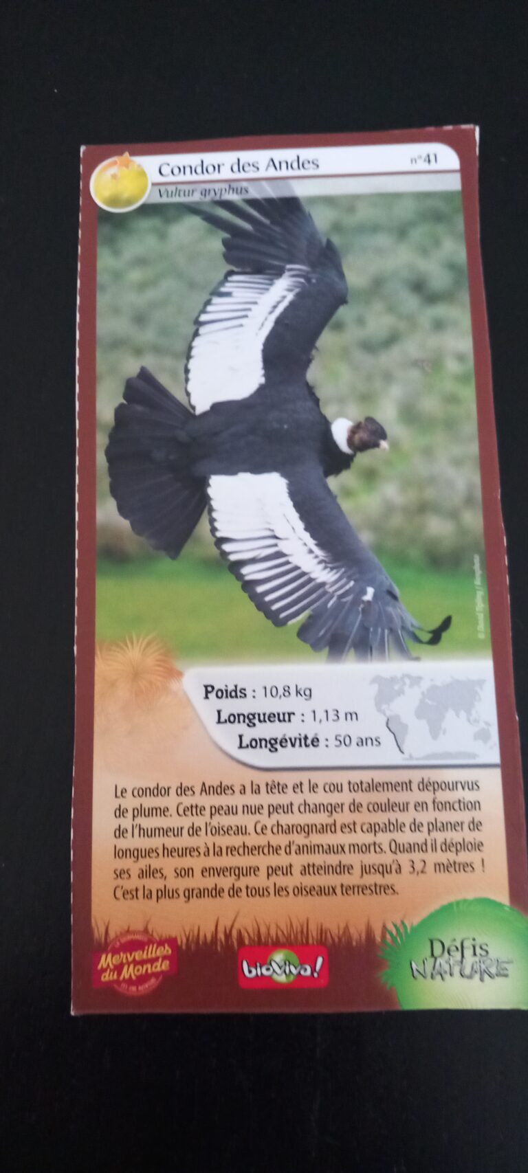 Face de la carte